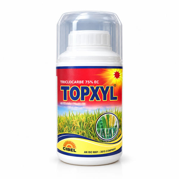 Topxyl - Thifluzamide 24% SC | टॉपक्सिल | थिफ्लुजामाइड 24% SC